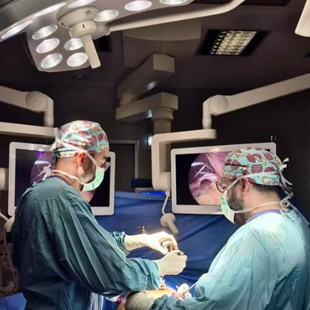 Gorro quirúrgico Digestive de pelo corto con estampado del sistema digestivo para cirujanos en quirófano - Robin Hat